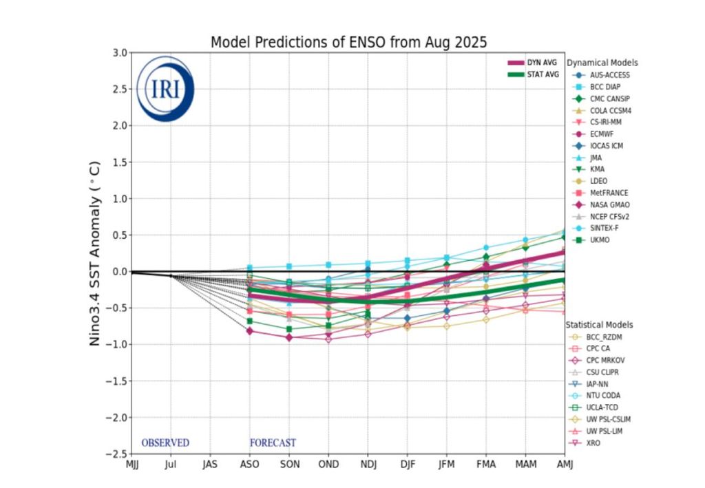 Previsão dos modelos indicam manutenção da neutralidade do ENSO até fevereiro de 2026. Créditos: CPC/NOAA. Previsão dos modelos indicam manutenção da neutralidade do ENSO até fevereiro de 2026. Créditos: CPC/NOAA.