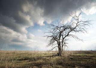 Como será o clima no mês de setembro no Brasil