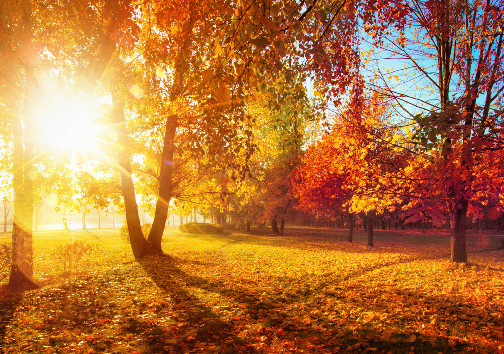 A temperatura da superfície do mar no Oceano Pacífico central pode alcançar o limiar de El Niño no final do outono.