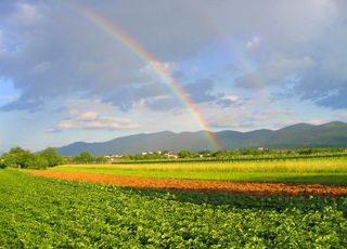 Como será o mês de Dezembro?