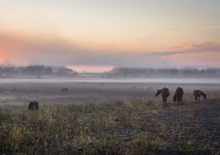 Como será o próximo trimestre de inverno?