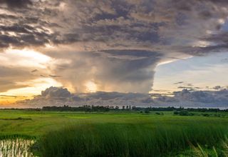 Como será o tempo durante o fim de semana?