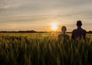 Como serão os próximos 15 dias de Julho?