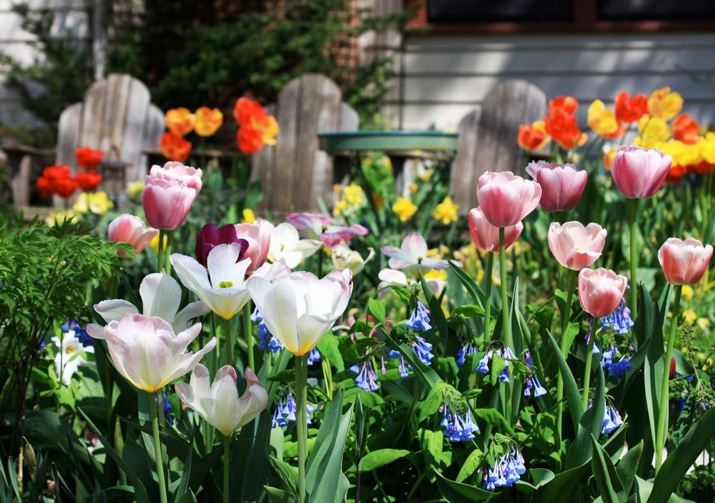 jardin jardin