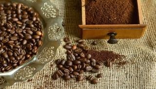 Como utilizar borras de caf&eacute; para enriquecer o solo do jardim e das plantas em vasos
