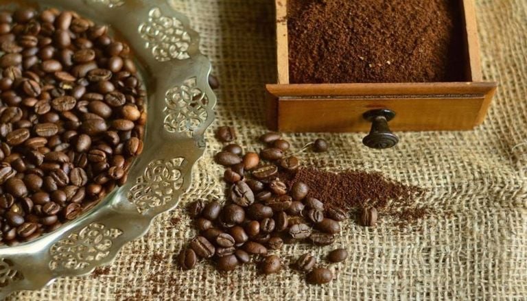 Como utilizar borras de caf&eacute; para enriquecer o solo do jardim e das plantas em vasos