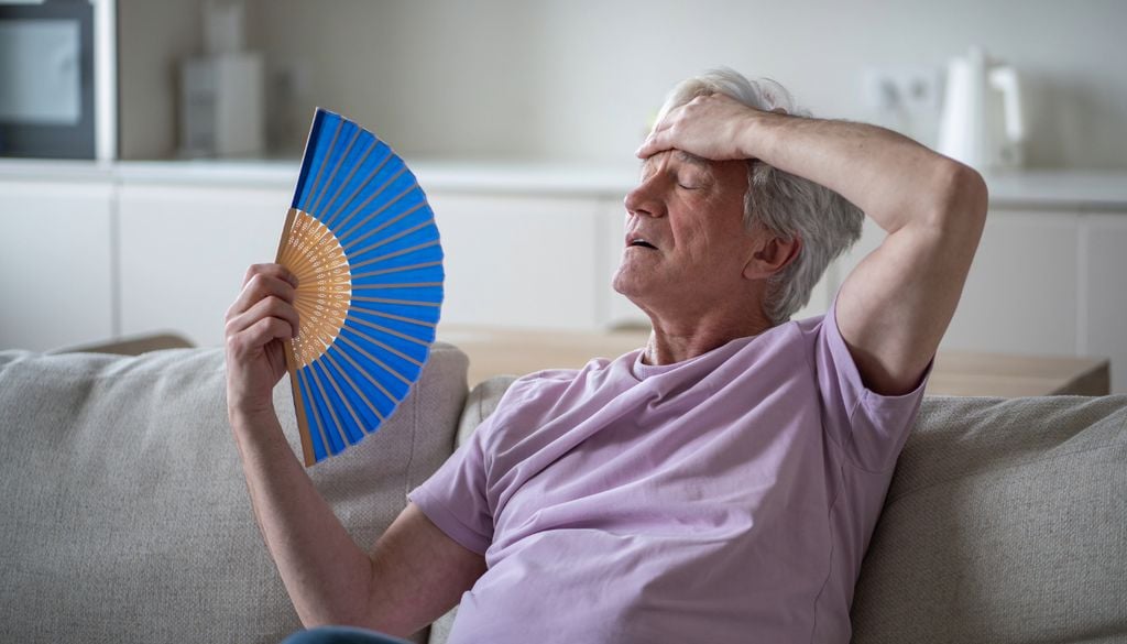 calorías Conseguir una temperatura confortable en casa tiene más ciencia de la que imaginamos