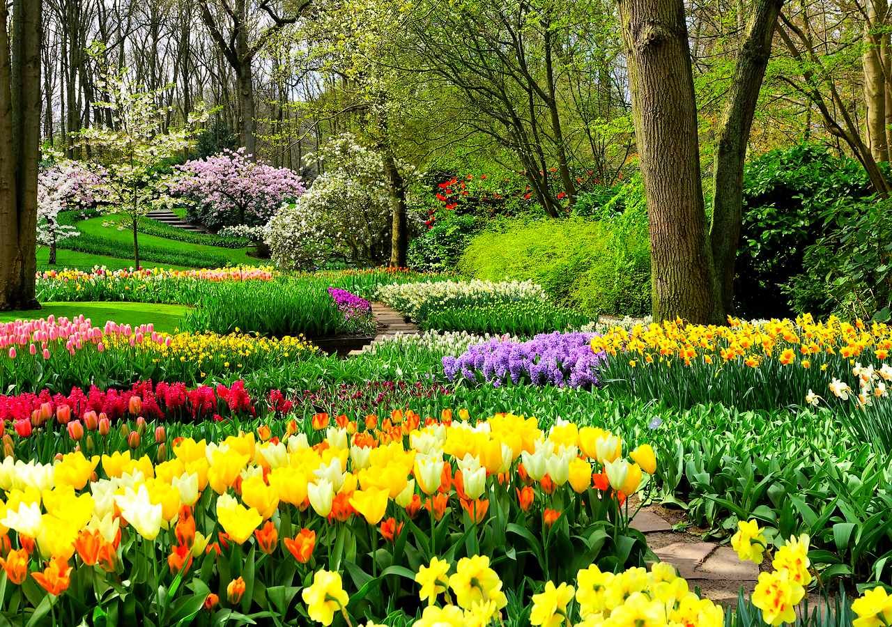 Los tulipanes ya florecen en el Jardín Botánico de Madrid: así puedes ...