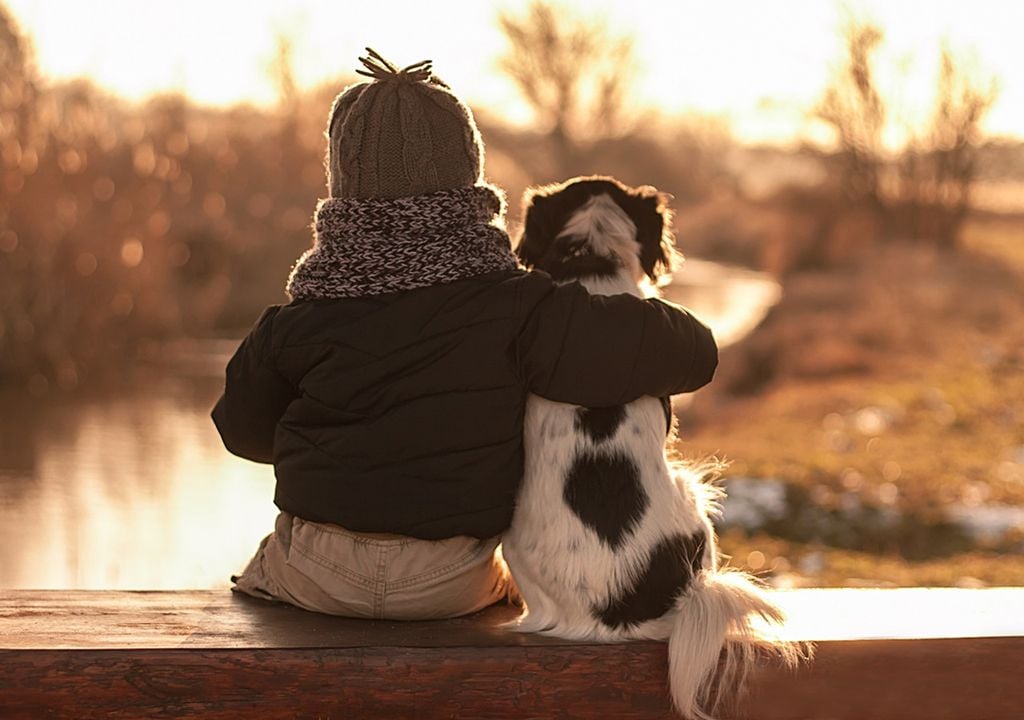 amistad perro humanos