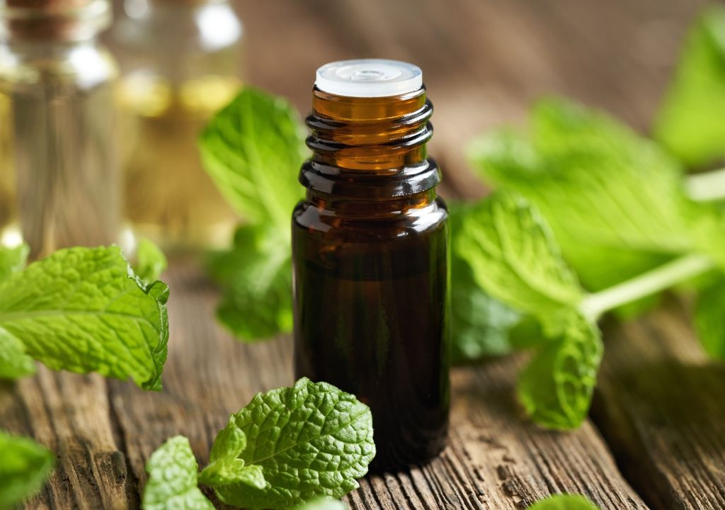 menta menta