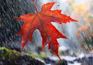 Complejo panorama de muy fuertes tormentas en México por interacción de frente frío, ondas tropicales y posible ciclón 