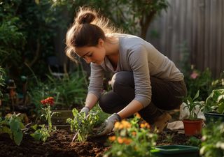 Comprueba la viabilidad de tus semillas: 6 sencillos pasos para que tu jardín florezca