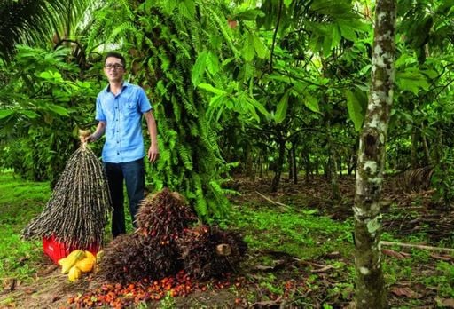 Comunidade japonesa na Amaz&ocirc;nia torna-se refer&ecirc;ncia mundial em sustentabilidade agr&iacute;cola