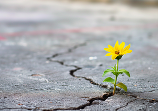 Comunidades resilientes: cómo se adapta México al cambio climático y a los eventos extremos