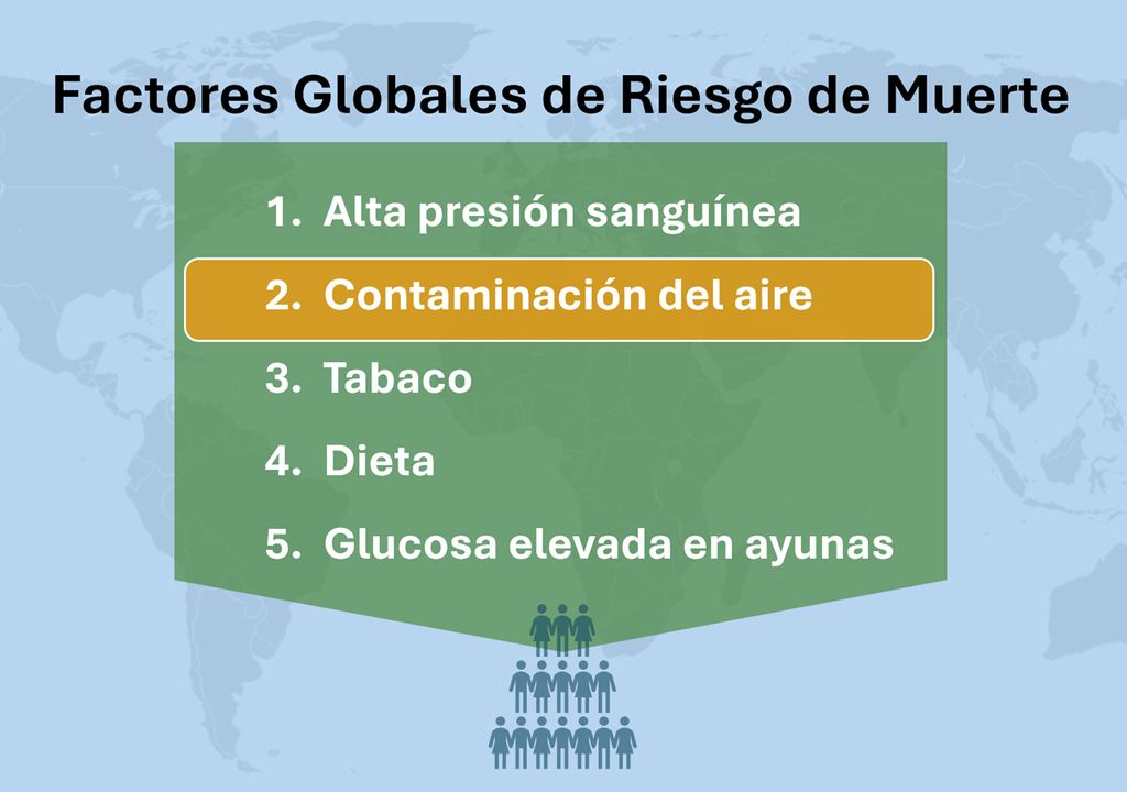 fatores de risco de mortes no mundo