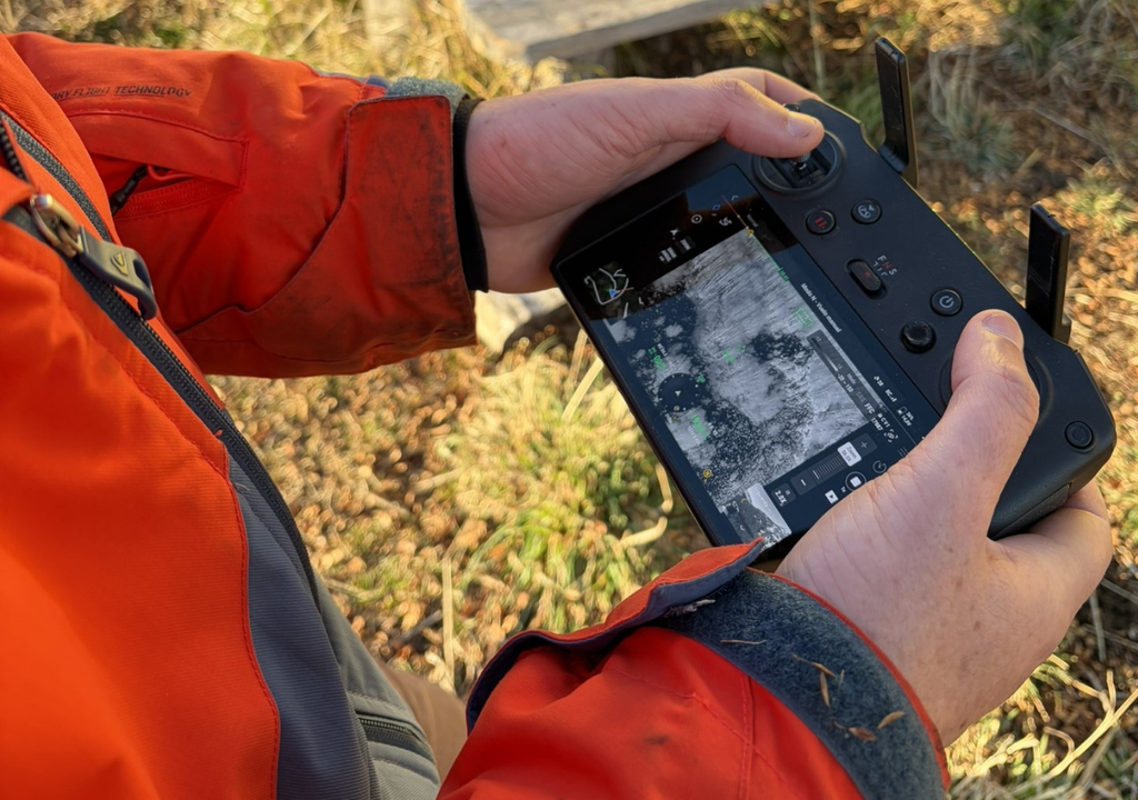 Drones para monitorear huemules De todo el cuerpo del huemul, la cabeza es la zona que más calor irradia y, en consecuencia, la más visible para los sensores. Foto: Gentileza WCS Argentina