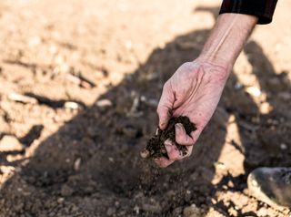 Con el cambio climático el suelo pierde poder para alimentarnos