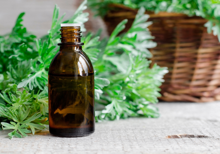 Con estos ingredientes caseros puedes preparar el insecticida ecol&oacute;gico m&aacute;s potente para tu huerto