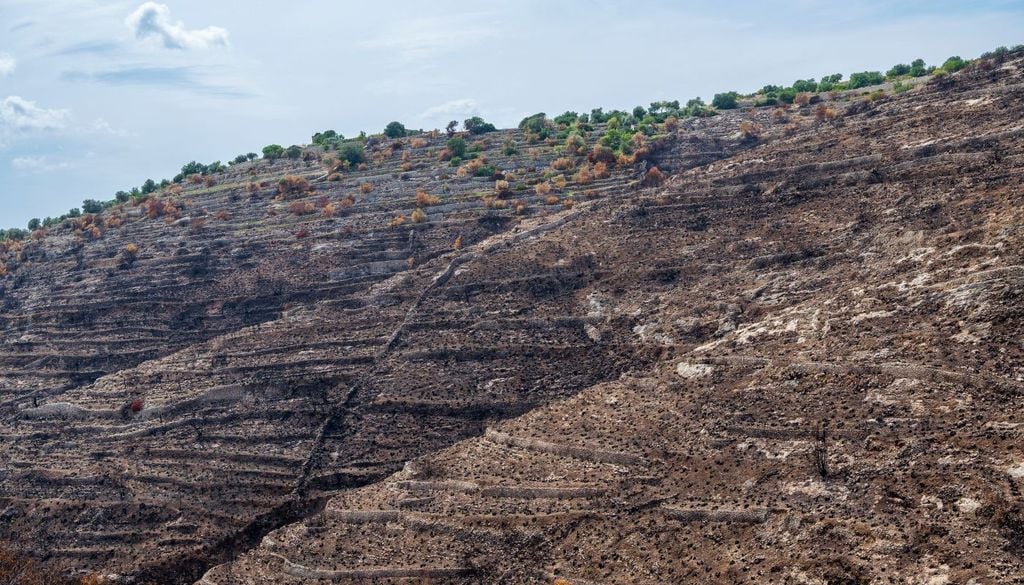 Gli effetti sul Mediterraneo arrivano tipicamente con 6-12 mesi di ritardo rispetto al picco oceanico di El Niño. Un evento che si sviluppa nell’autunno/inverno 2026/27 avrà quindi l’impatto maggiore sulla primavera-estate 2027 in Sicilia.