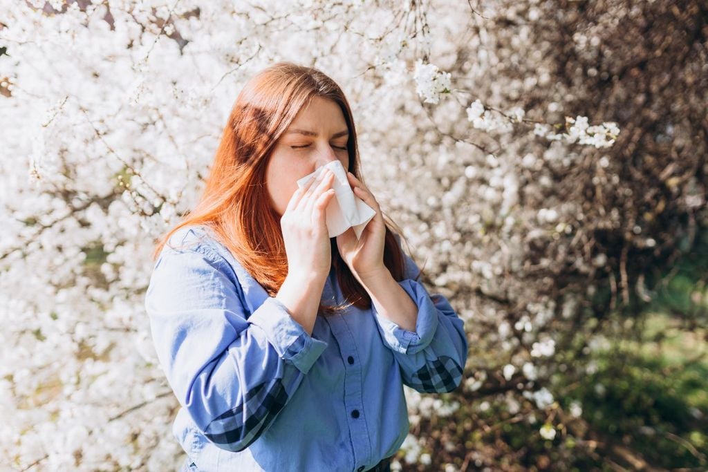 Durante el verano se exacerban las alergias