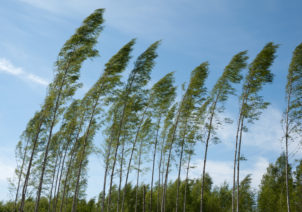 Pronóstico Año Nuevo 2026 en Chile centro sur, Meteored