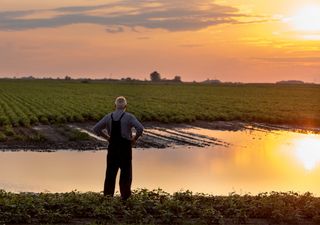 Con una Niña aún incierta, así será el clima en Argentina durante el primer trimestre de 2025 según el SMN