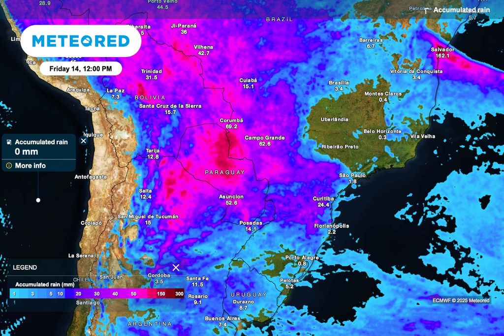 Mapa de chuva acumulada (modelo ECMWF) indica áreas com volumes elevados no Centro-Oeste e Sul; equipes devem planejar o corte para janelas mais secas nas próximas 24–48 horas.