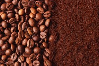 CONAB revê safra de café: produção pode cair 6,8% devido ao clima