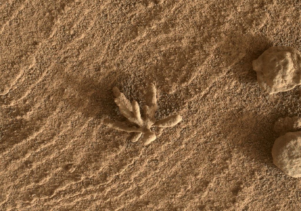 Flor de arena en Marte, NASA Flor de arena en Marte, NASA