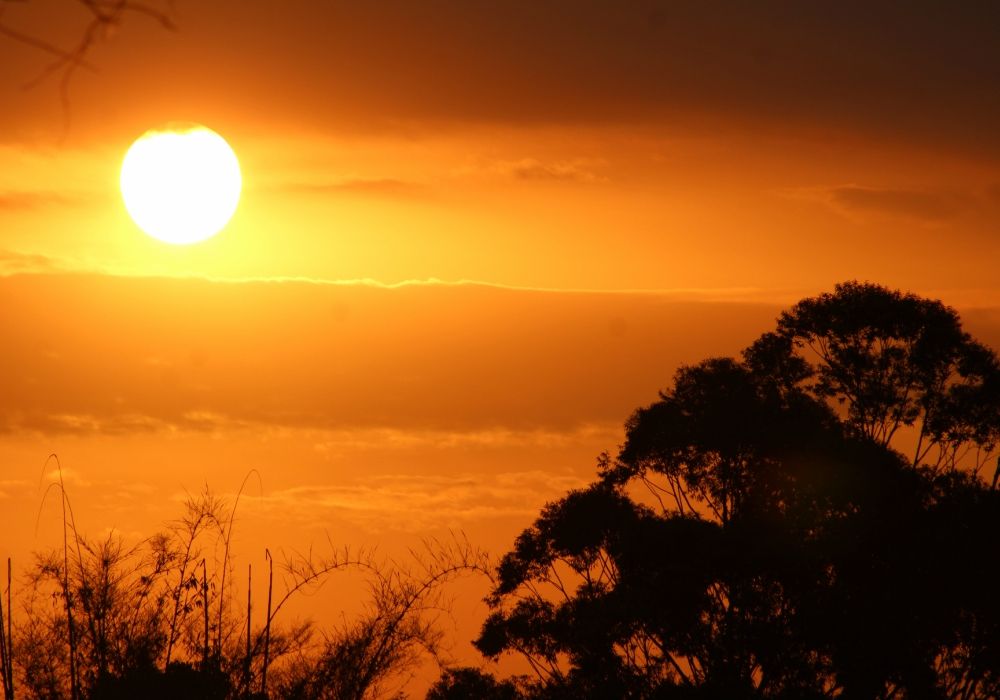 Abril record calor Argentina