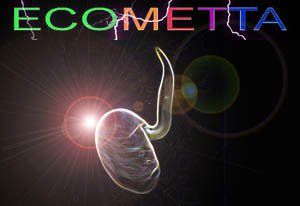 Concurso ECOMETTA 3ª Edición