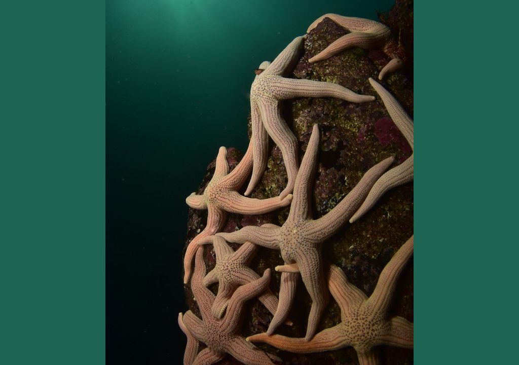 Fotografía ganadora Fotografía ganadora