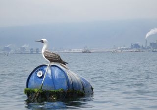 Concurso Ojo de Pez 2025 premia la belleza de mares, ríos y lagos en Chile