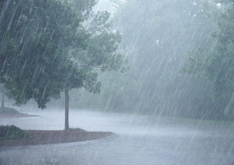Lluvias y viento fuerte en México Lluvias y viento fuerte en México