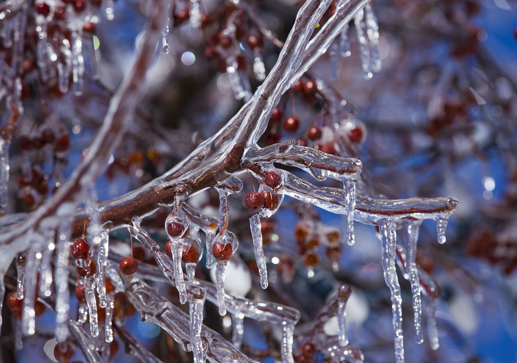 Noviembre cambiaría a condiciones más invernales en próximas semanas