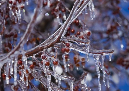 Condiciones meteorológicas darán un giro de 180° previo al inicio del invierno: México tendría lluvias y frío