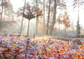 Condiciones otoñales para México en próximos días