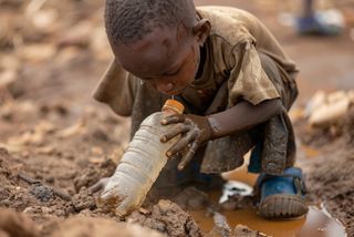 Condições climáticas contribuíram para as pandemias de cólera dos séculos XIX e XX, aponta estudo