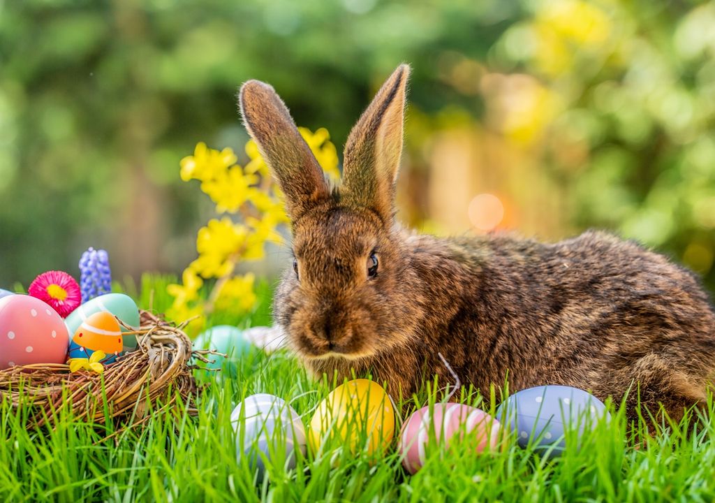 conejo y huevos de Pascua de Resurrección conejo y huevos de Pascua de Resurrección
