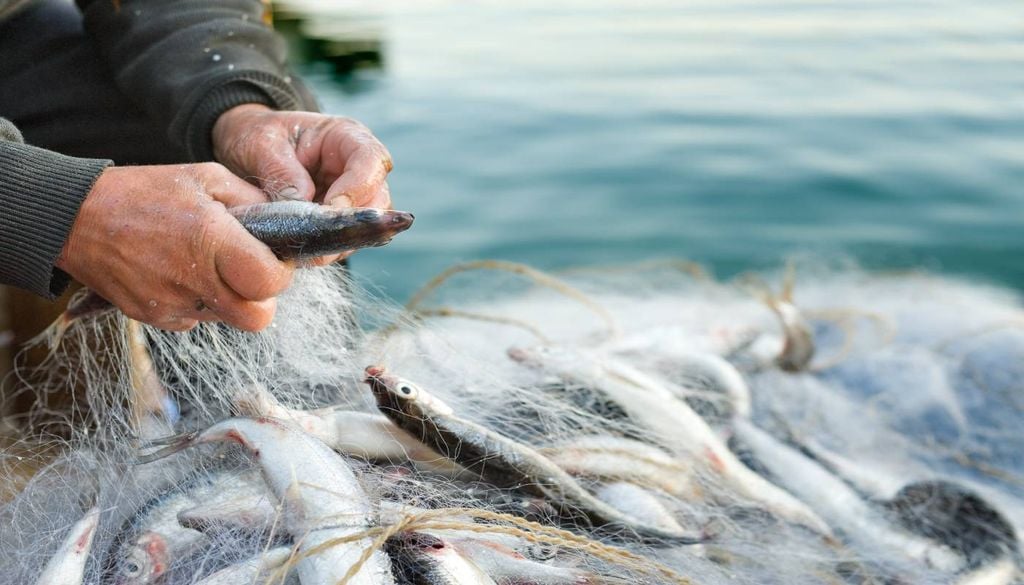 Pescador A conferência das Nações Unidas de 2026 teve como lema «Os nossos oceanos, nosso património, nosso futuro» e juntou governos, sociedade civil e representantes do setor de todo o mundo.