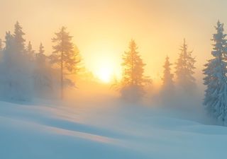 Confermate le previsioni per la seconda metà di gennaio: Daniele Ingemi conferma l'arrivo del freddo in queste zone