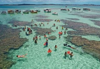 Conheça 5 destinos praianos no Brasil com águas de “mar do Caribe”
