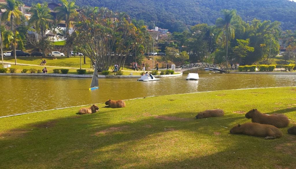 A Praça Adhemar de Barros, em Águas de Lindoia (SP), é um lugar perfeito para quem quer relaxar, um dos principais atrativos da cidade. Crédito: Divulgação.