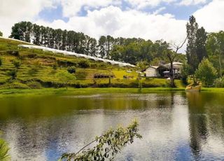 Conheça 5 destinos turísticos para fazer uma viagem bate e volta perto de São Paulo