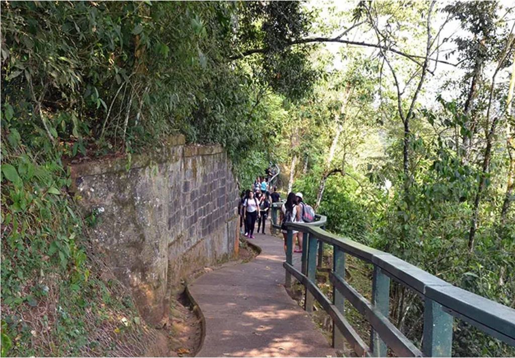 Trilha das Cataratas, no Parque Nacional do Iguaçu