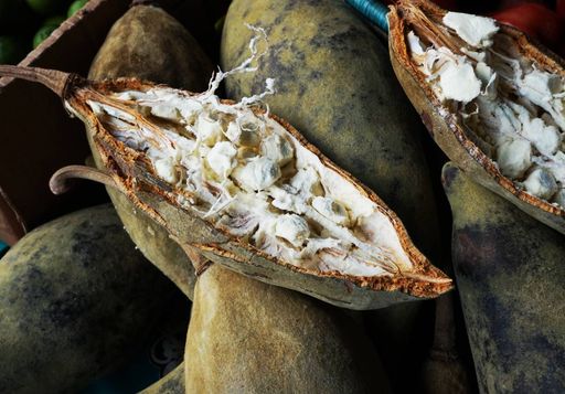 Alla scoperta del baobab, l'alimento africano che sta conquistando i palati di tutto il mondo