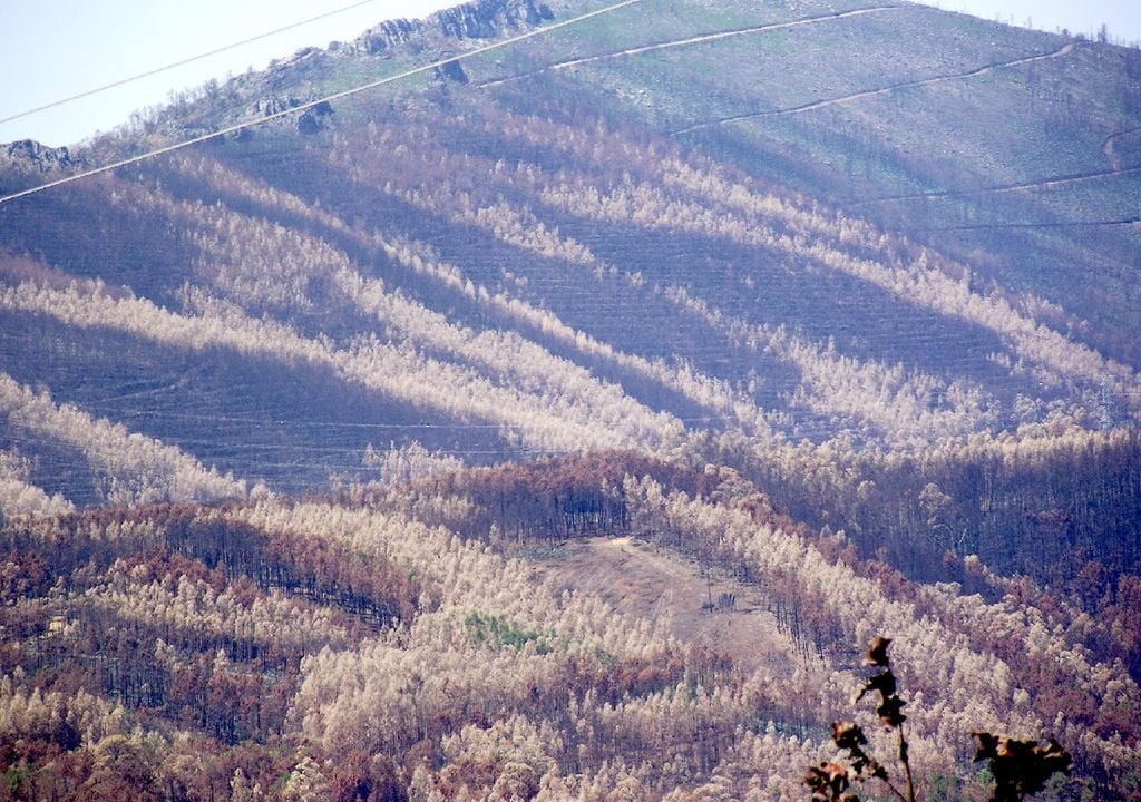 Encostas ardidas de Pedrógão Grande Encostas ardidas de Pedrógão Grande
