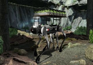 Conheça o Trovador, o robô que planta árvores onde máquinas e humanos não conseguem chegar