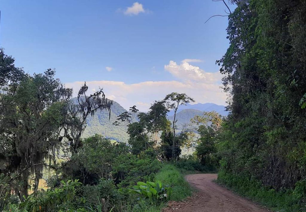 Estrada do Rio do Júlio, em Schroeder (SC)