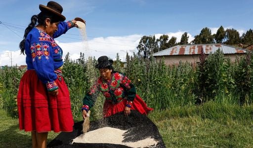 Sabedoria ancestral: como civiliza&ccedil;&otilde;es do Peru enfrentavam os impactos do El Ni&ntilde;o